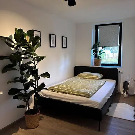 Weimarer Modern Woody Apartman *